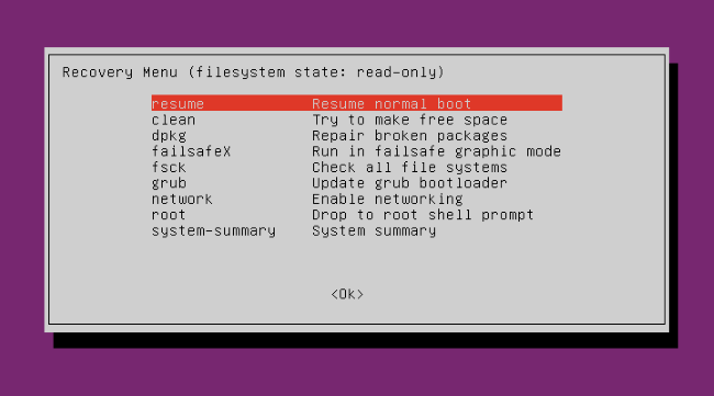 Ubuntu recovery menu